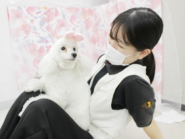 ２年生とモデル犬の写真撮影会♪～PART①～